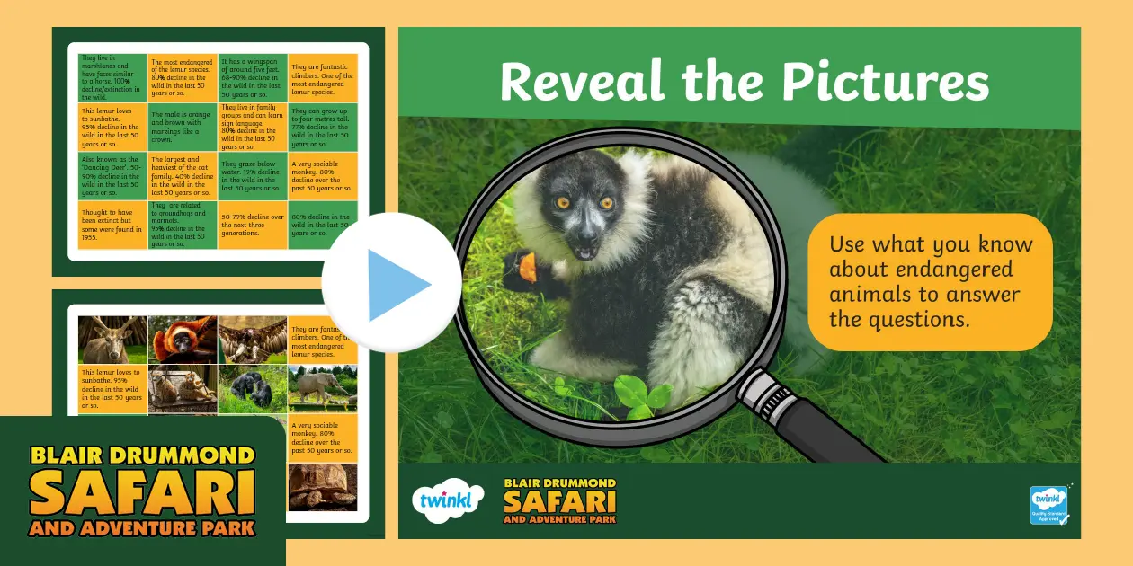 Twinkl x Blair Drummond Safari Park Educational Resource