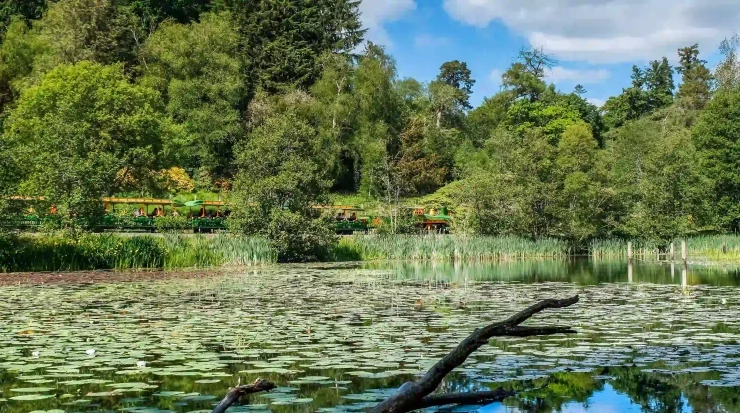 The lake at the Blair Drummond Safari Park